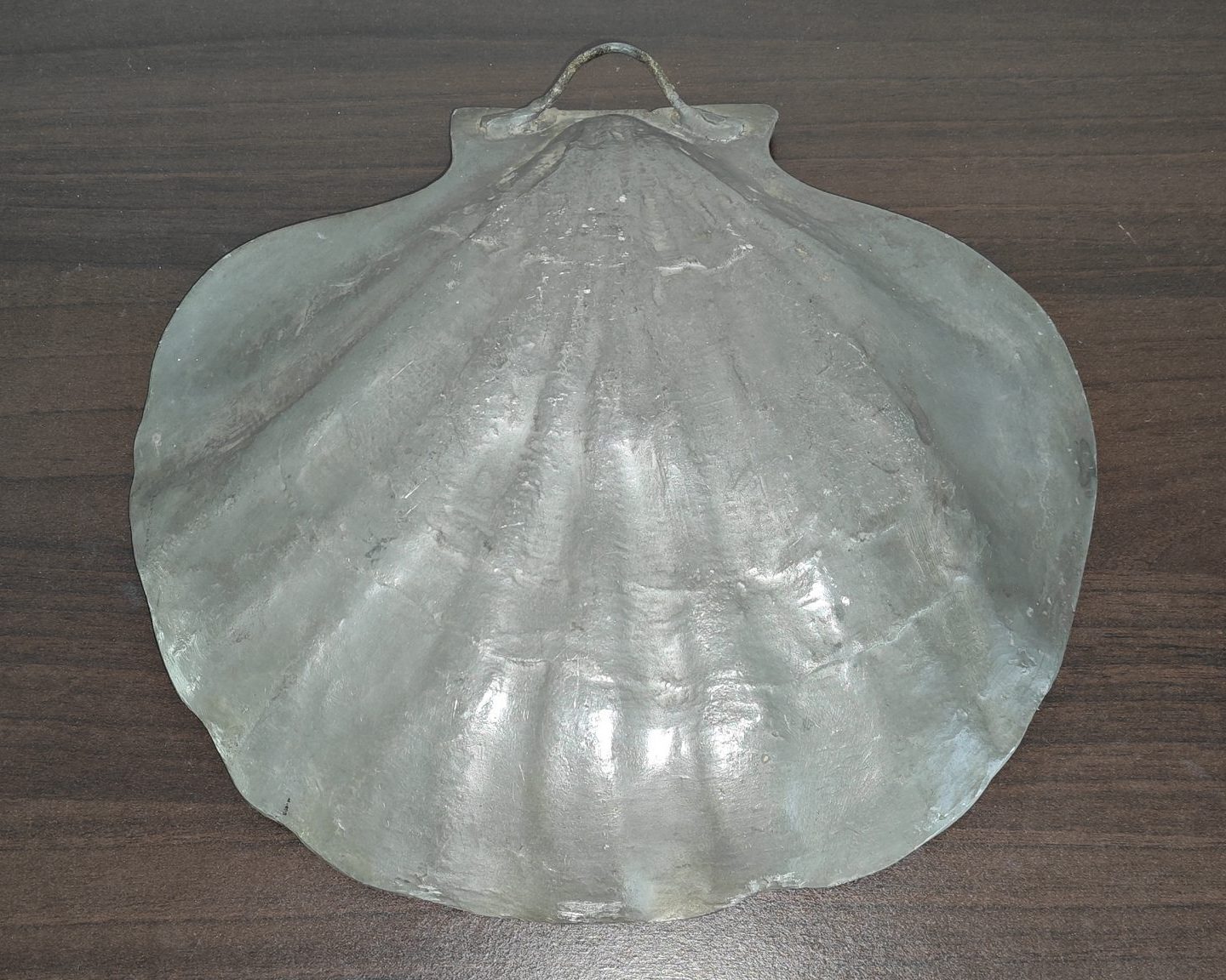 Coquillage en étain 1 dos